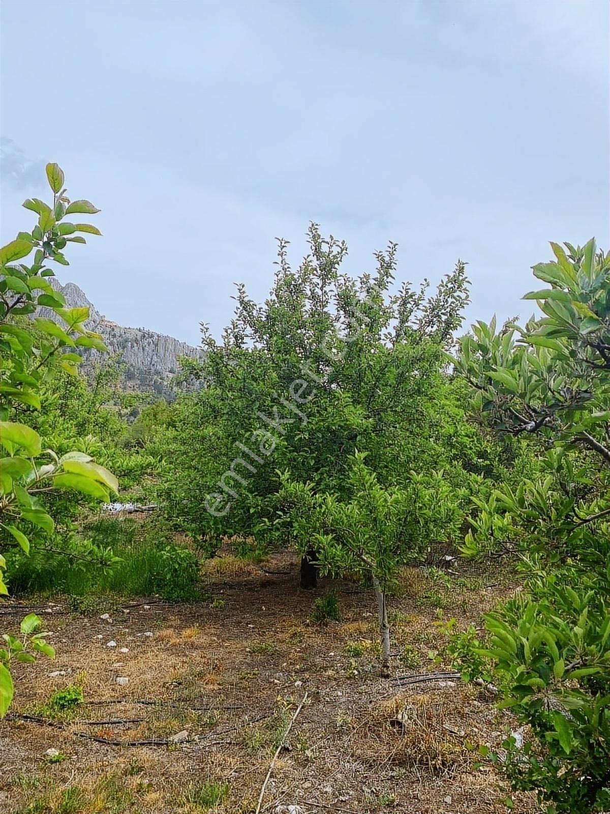 Sorgun'da Merkezi Konumda 3.372m2 Fırsatı !! - Görsel 8