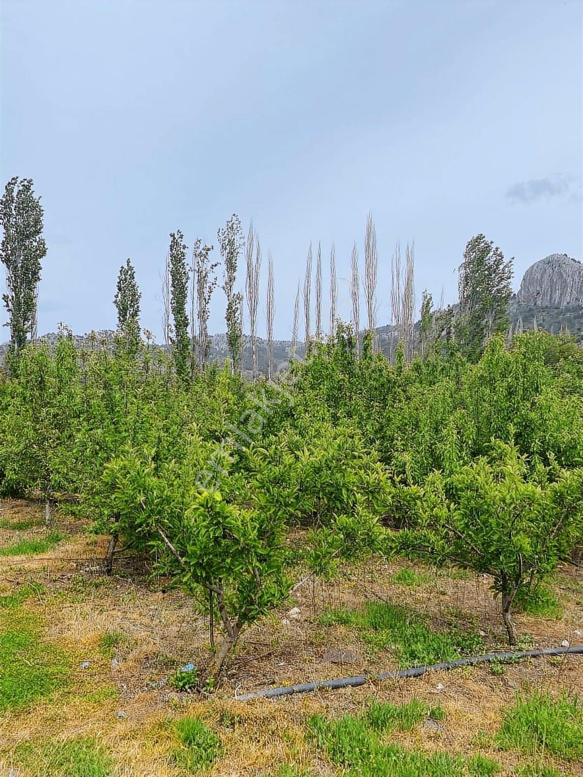 Sorgun'da Merkezi Konumda 3.372m2 Fırsatı !! - Görsel 9