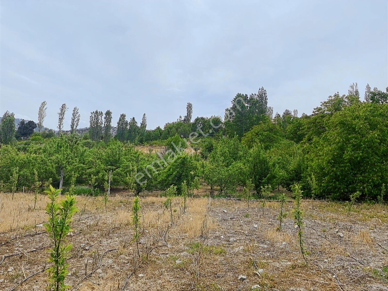 Sorgun'da Merkezi Konumda 3.372m2 Fırsatı !! - Görsel 6