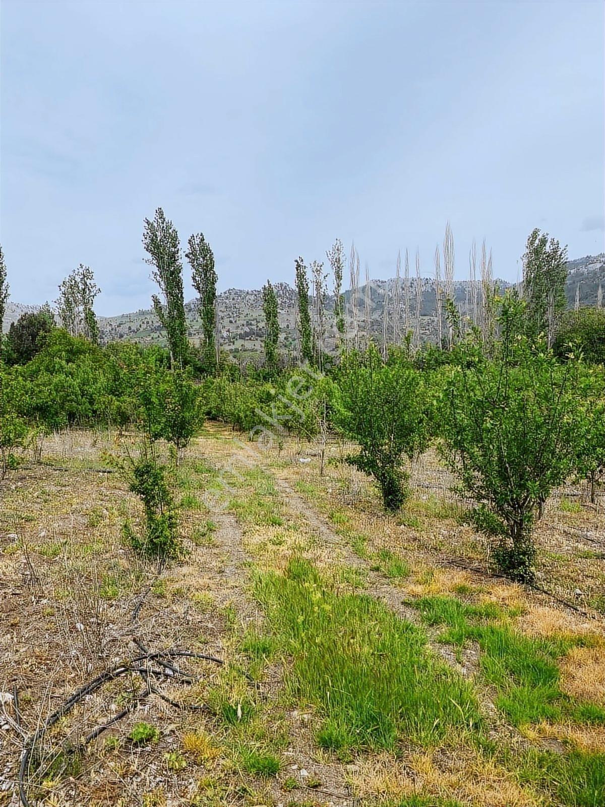 Sorgun'da Merkezi Konumda 3.372m2 Fırsatı !! - Görsel 18