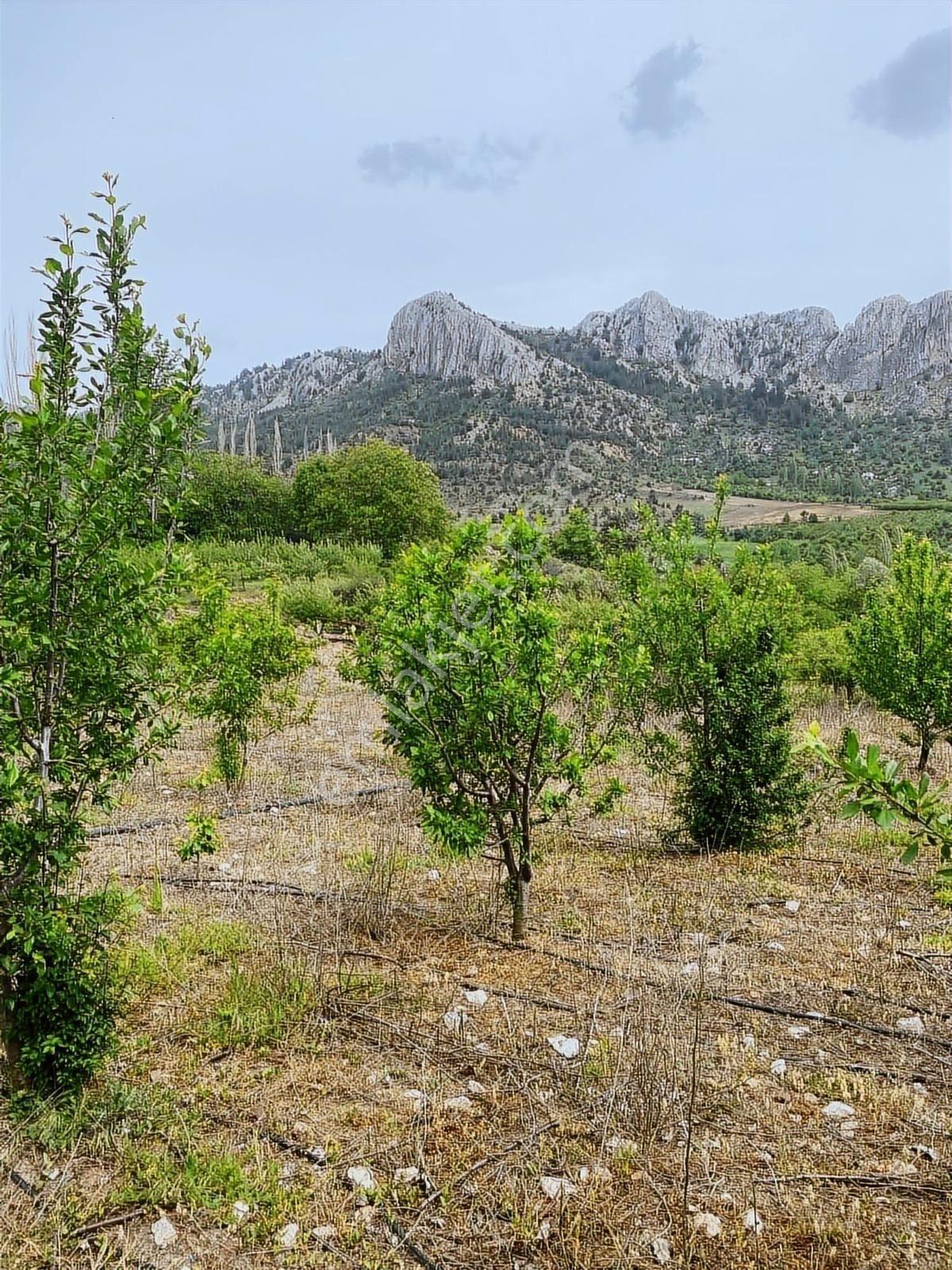 Sorgun'da Merkezi Konumda 3.372m2 Fırsatı !! - Görsel 14