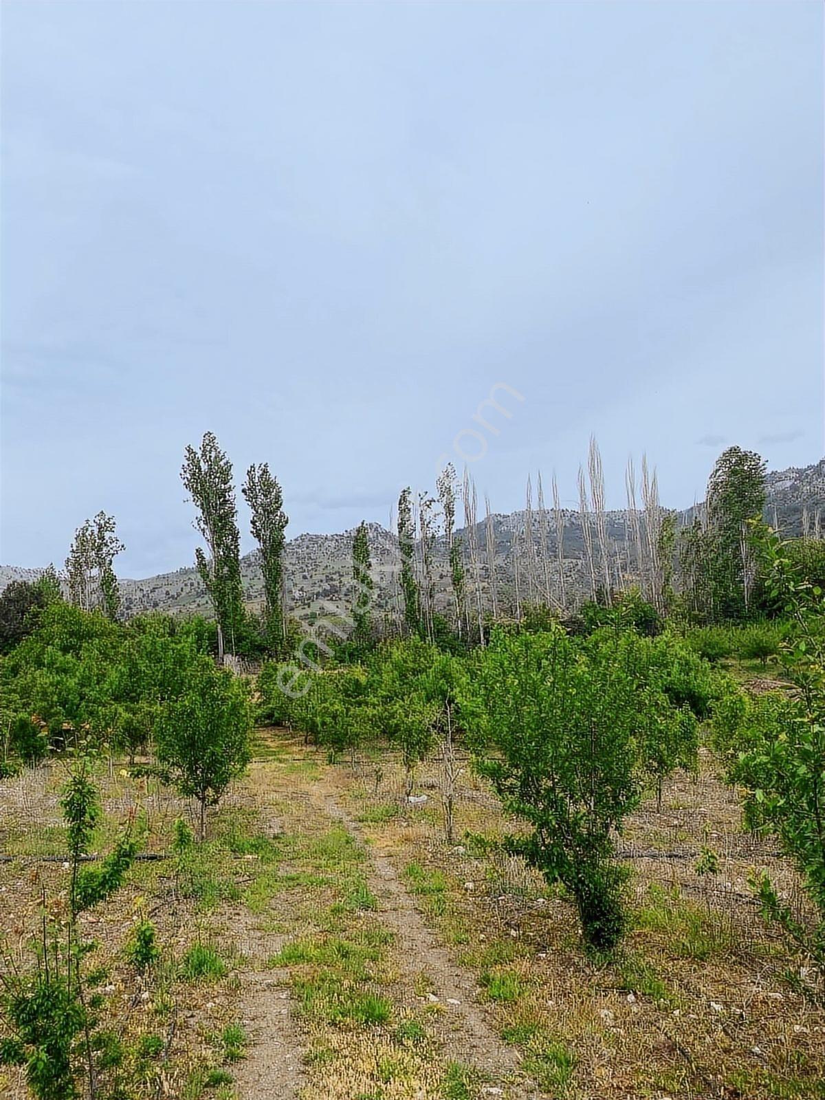 Sorgun'da Merkezi Konumda 3.372m2 Fırsatı !! - Görsel 15