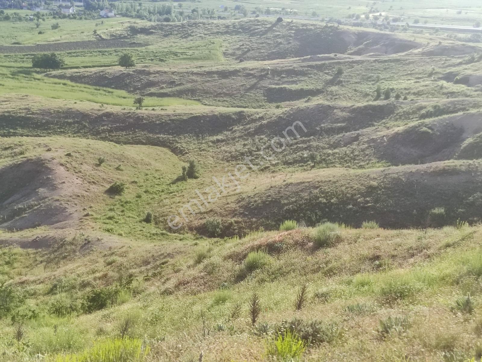 Özpınar,dan Çavuş Nekropol (mezarları) Yakını Tarla 5200 M2 - Görsel 2