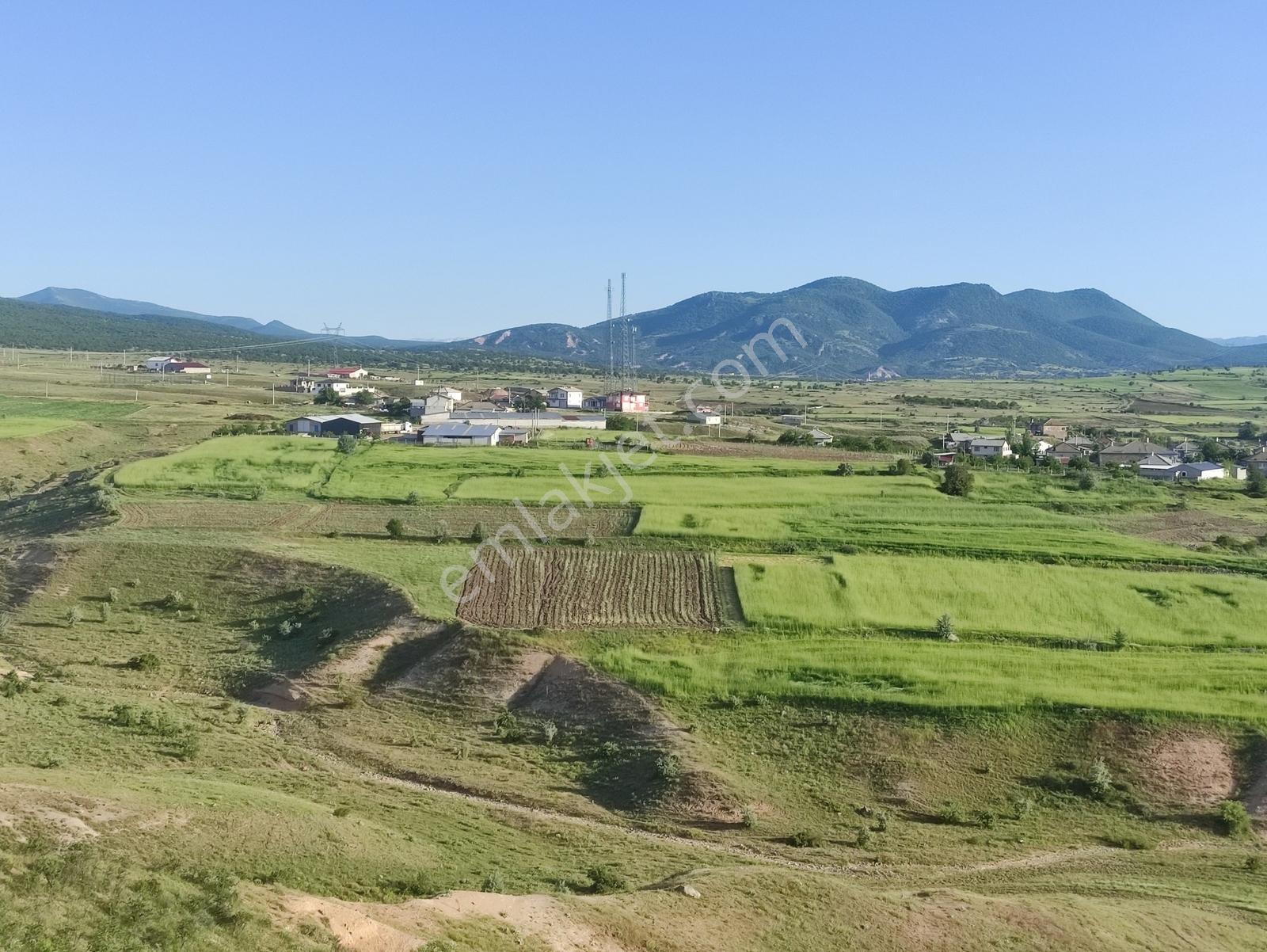 Özpınar,dan Çavuş Nekropol (mezarları) Yakını Tarla 5200 M2 - Görsel 18