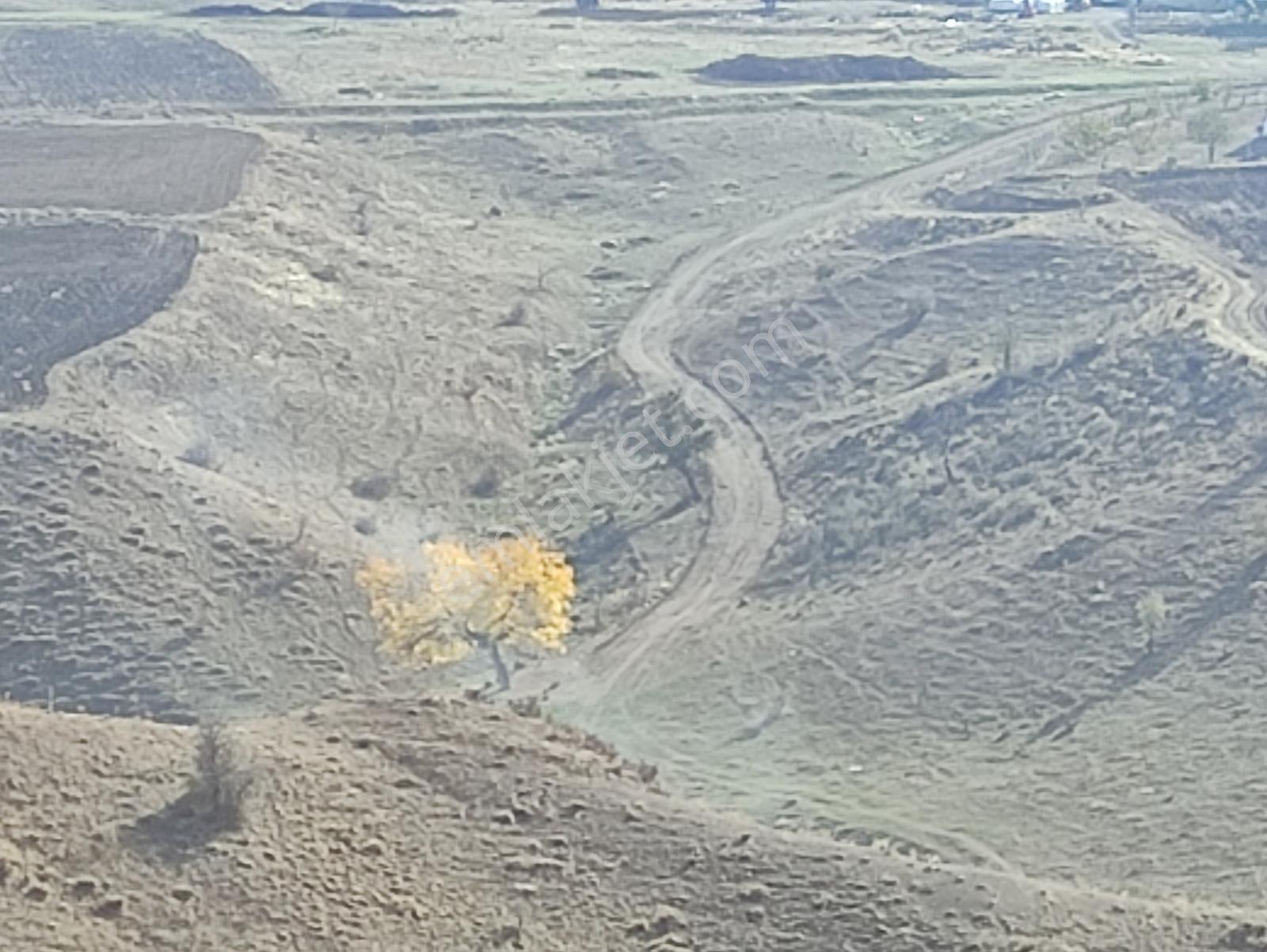 Özpınar,dan Çavuş Nekropol (mezarları) Yakını Tarla 5200 M2 - Görsel 14