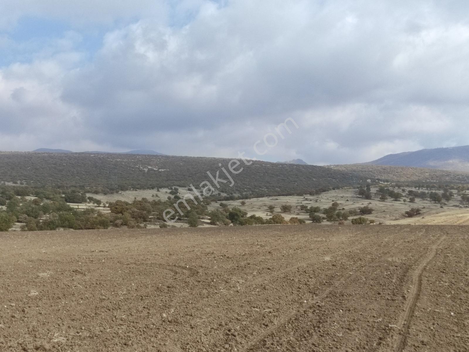 Özpınar,dan Çavuş Nekropol (mezarları) Yakını Tarla 5200 M2 - Görsel 11