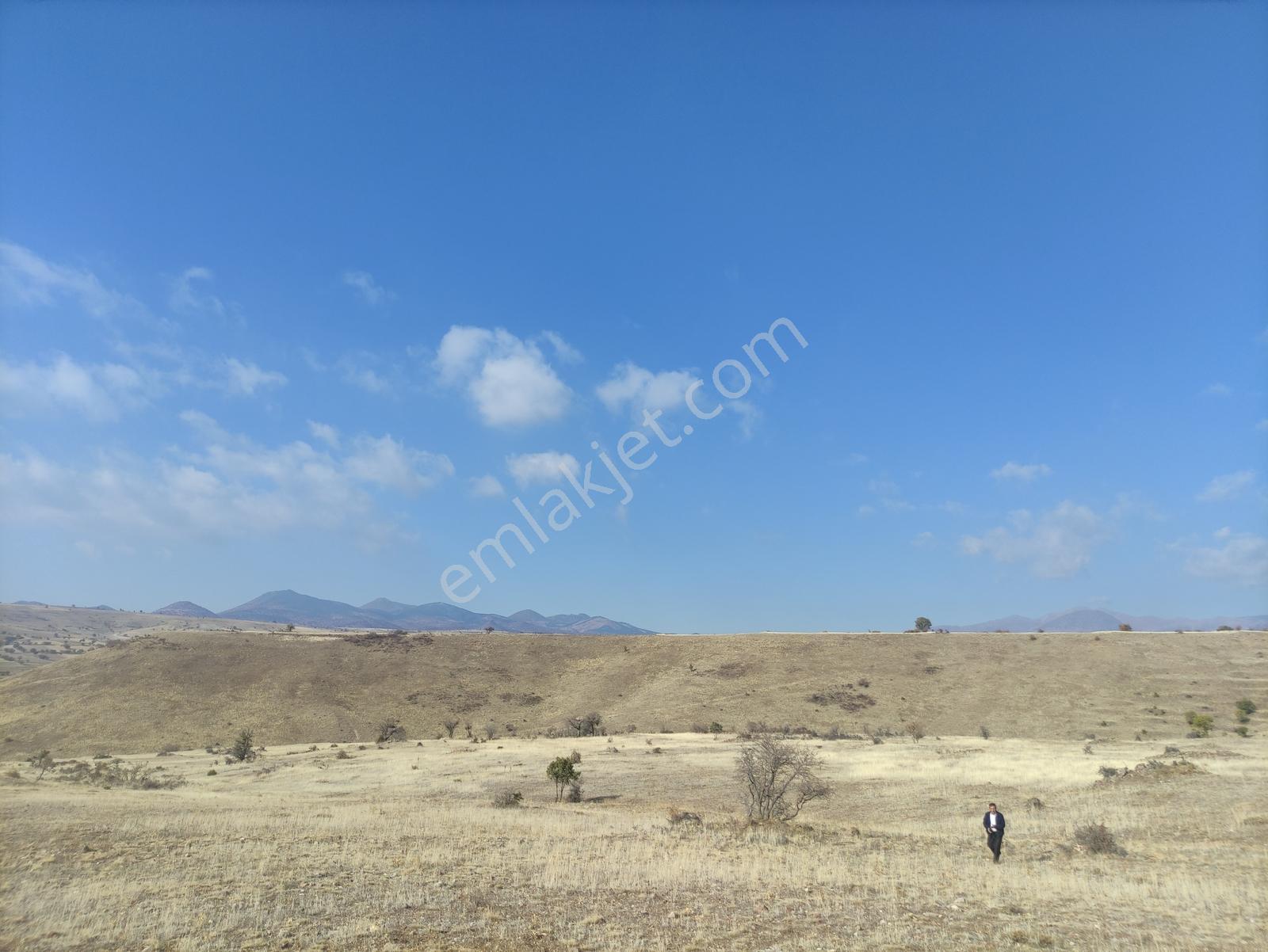 Özpınar,dan Çavuş Nekropol (mezarları) Yakını Tarla 5200 M2 - Görsel 12