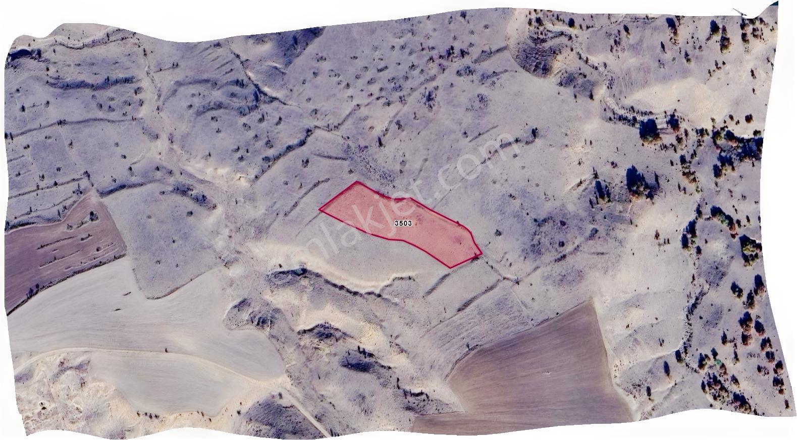 Özpınar,dan Çavuş Nekropol (mezarları) Yakını Tarla 5200 M2 - Görsel 9