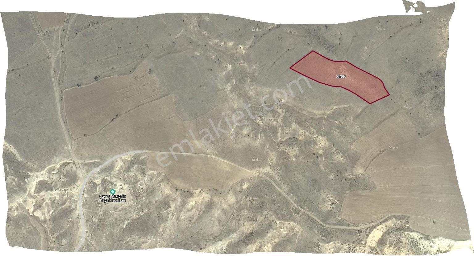 Özpınar,dan Çavuş Nekropol (mezarları) Yakını Tarla 5200 M2 - Görsel 27