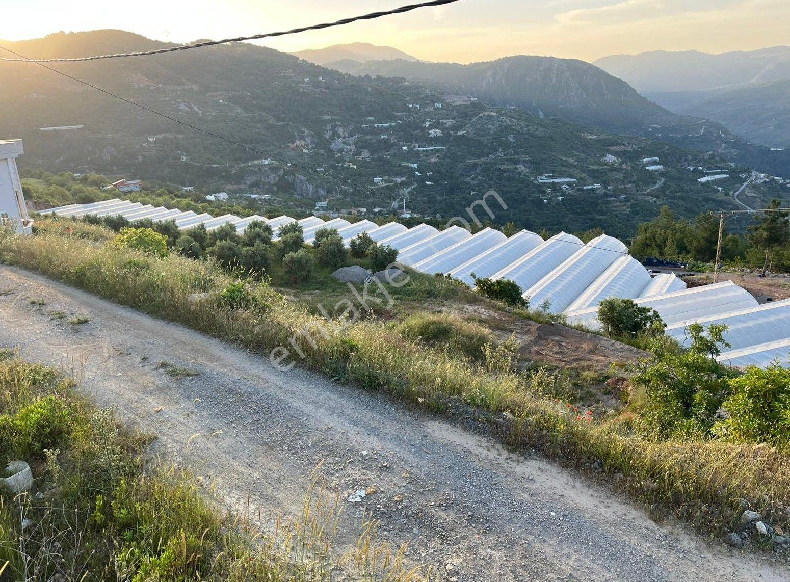 Alanya Hacıkerimler Mah.kale Mevkii Satılık 4920 M2 Tarla - Görsel 3