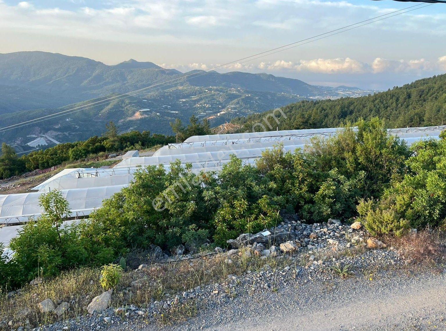 Alanya Hacıkerimler Mah.kale Mevkii Satılık 4920 M2 Tarla - Görsel 2