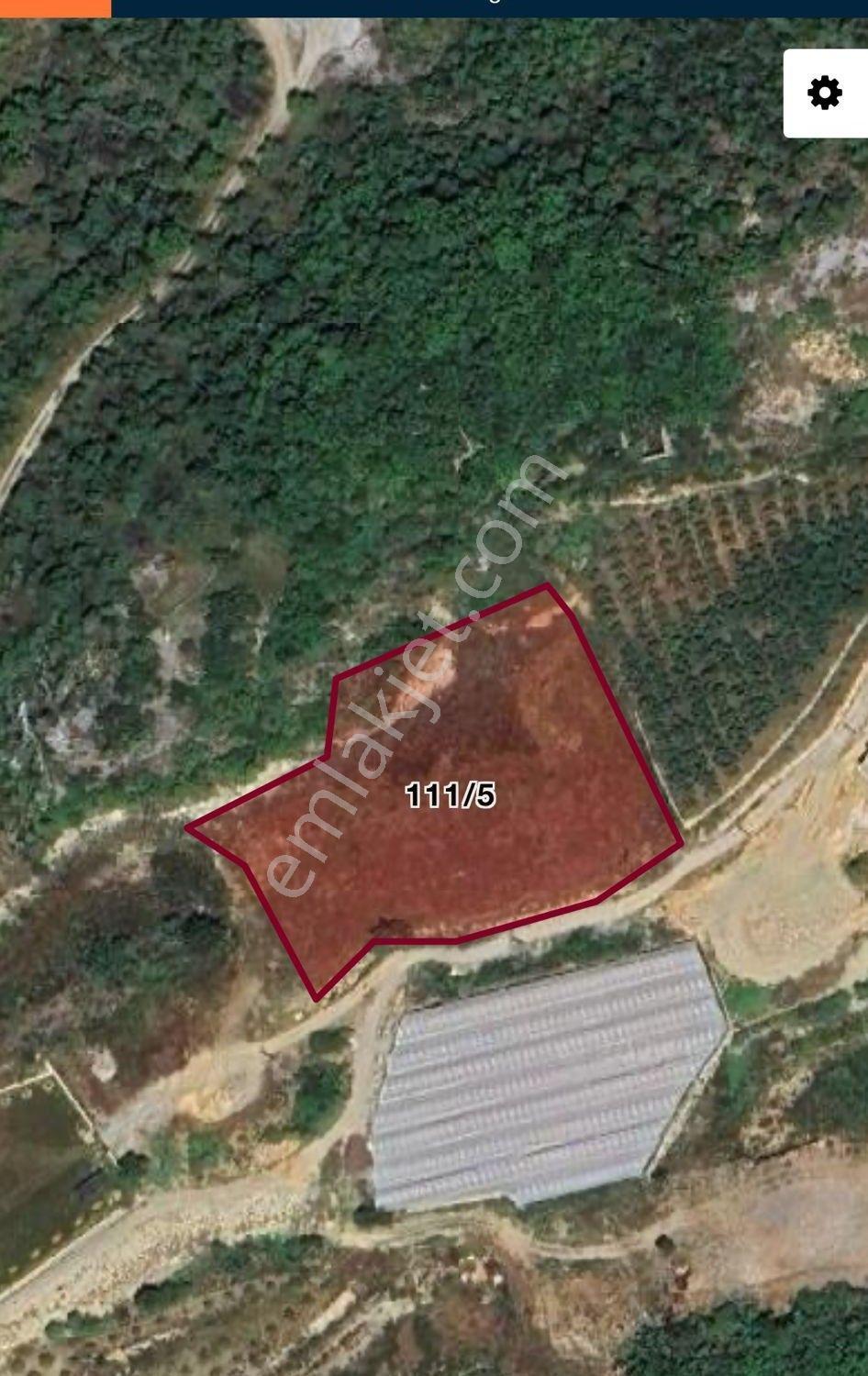 Alanya Hacıkerimler Mah.kale Mevkii Satılık 4920 M2 Tarla