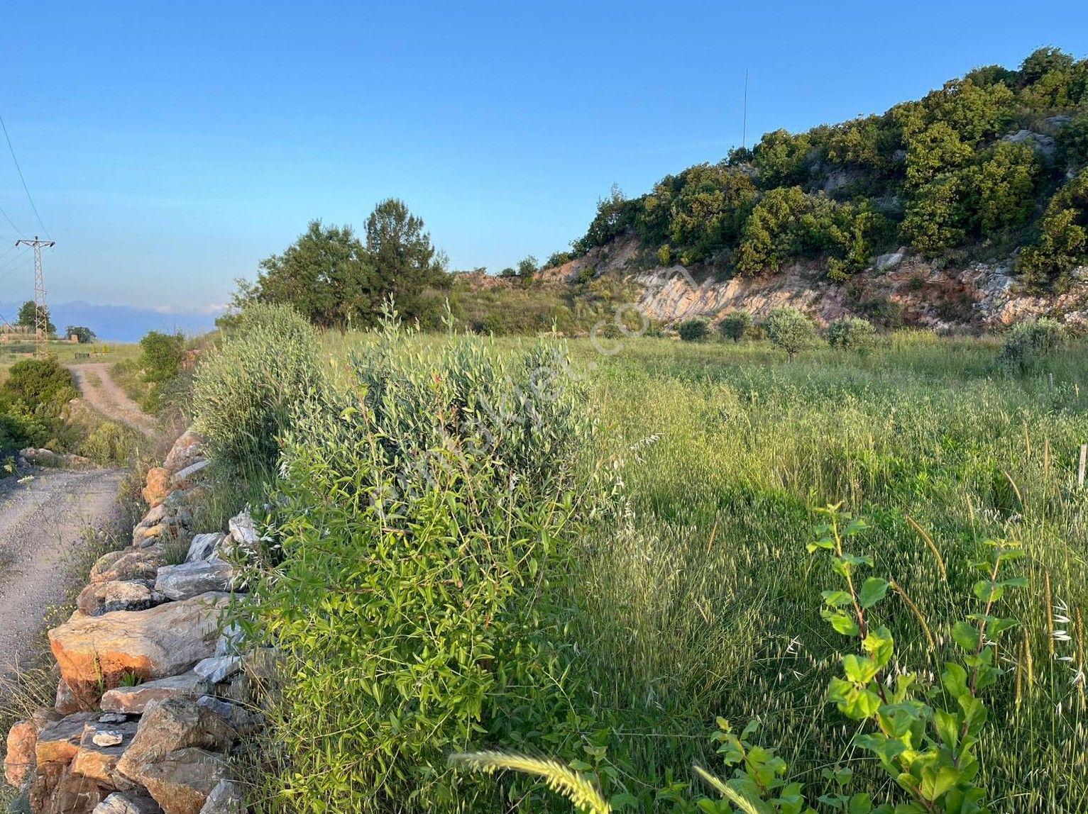 Alanya Hacıkerimler Mah.kale Mevkii Satılık 4920 M2 Tarla - Görsel 4