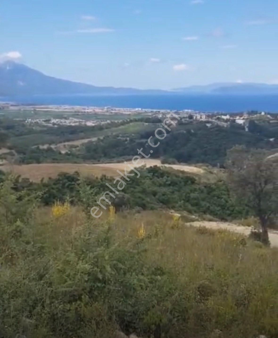 Kuşadasi Soğucak Ulucak Mevki̇ İmarli Vi̇lla Arsasi