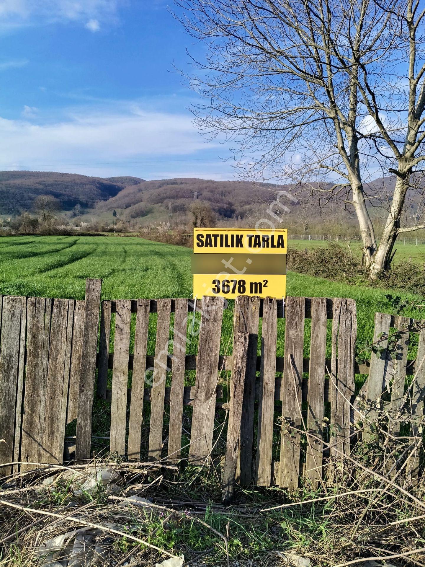 Düzce Kaynaşlı Merkez Mah De Satılık Tarla