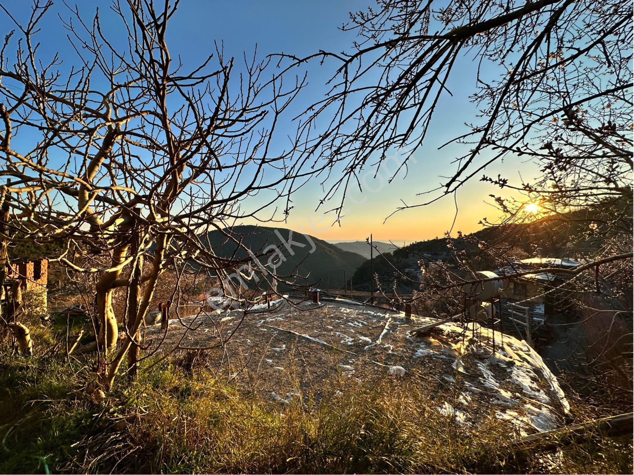 Alanya/bayırkozağacı Mah.373m2satılık Taş Ev - Görsel 2