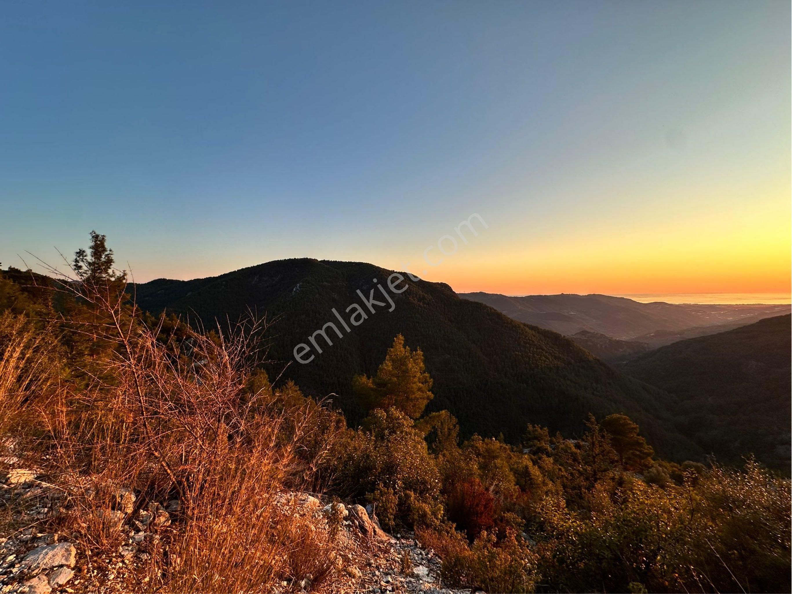 Alanya/bayırkozağacı Mah.373m2satılık Taş Ev - Görsel 13