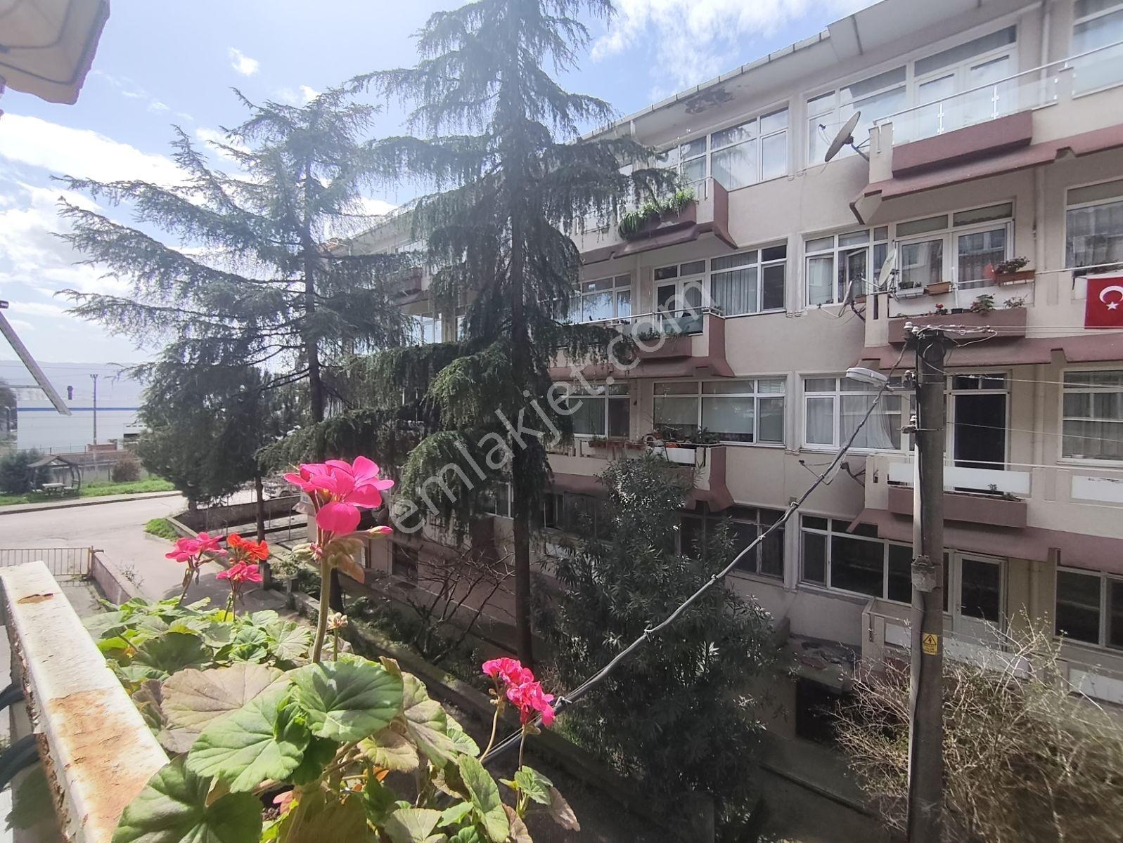 İzmitin En Prestijli Lokasyonu Plaj Yolunda Fırsat Arakat Daire - Görsel 8