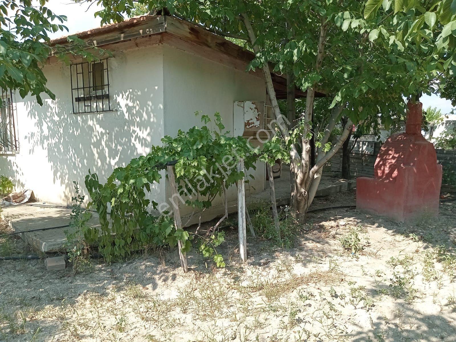 Güdül'de İçince 1+1 Ev Ve 70 Ceviz Ağacı Olan Satılık Arsa - Görsel 2