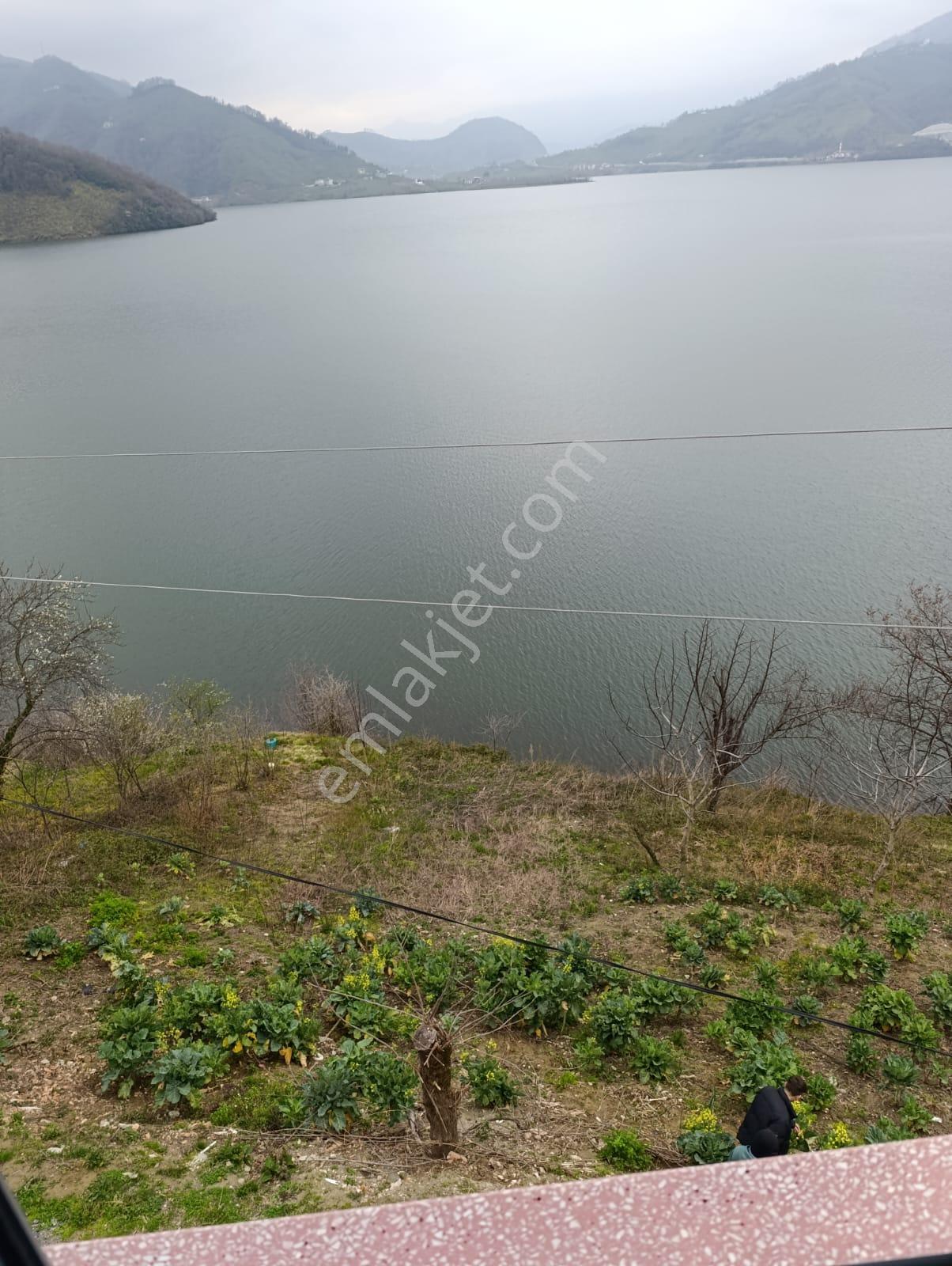 Akgün Kurumsal'dan Ayvacık'da Satılık İki Parsel 2645 M2 Tarla - Görsel 6