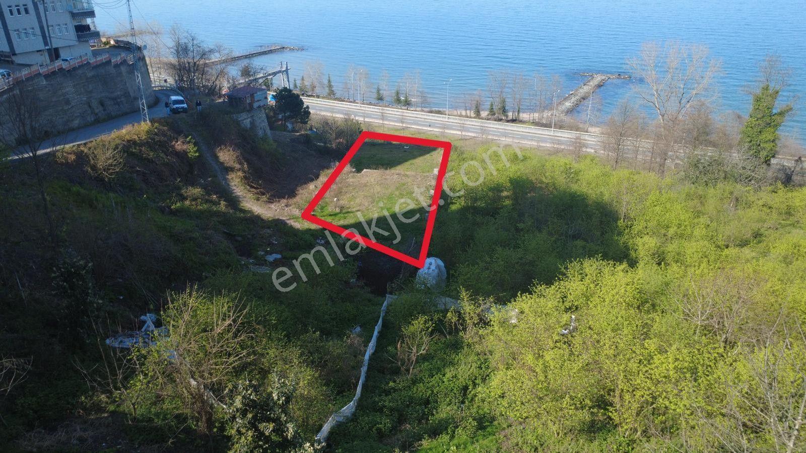 Trabzon Sürmene'de Satılık İmarlı Arsa - Görsel 2