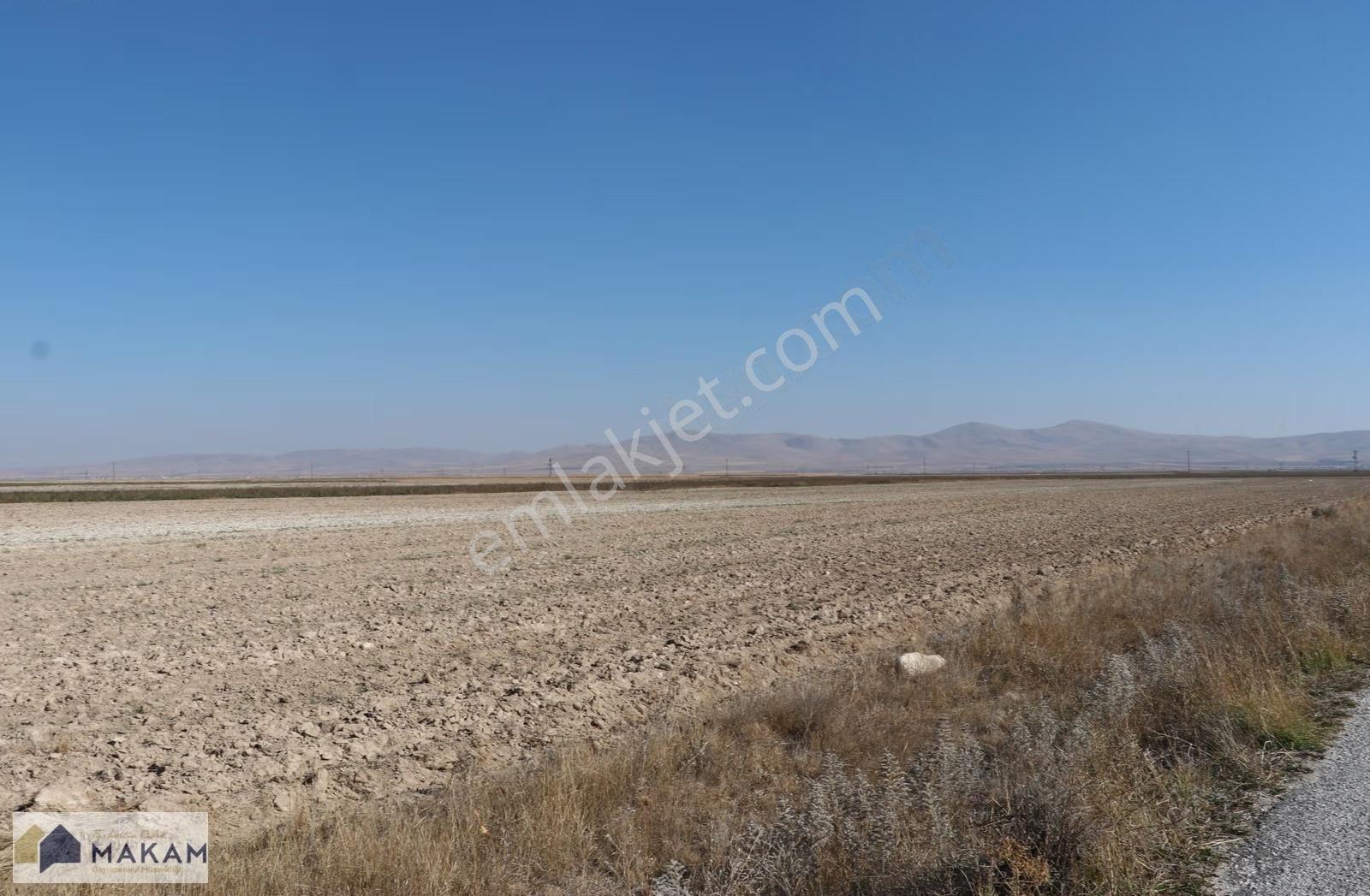 Tam Faturalı - Kaleköy Asfalt Yola Cephe 81.000m2 Satılık Tarla - Görsel 4