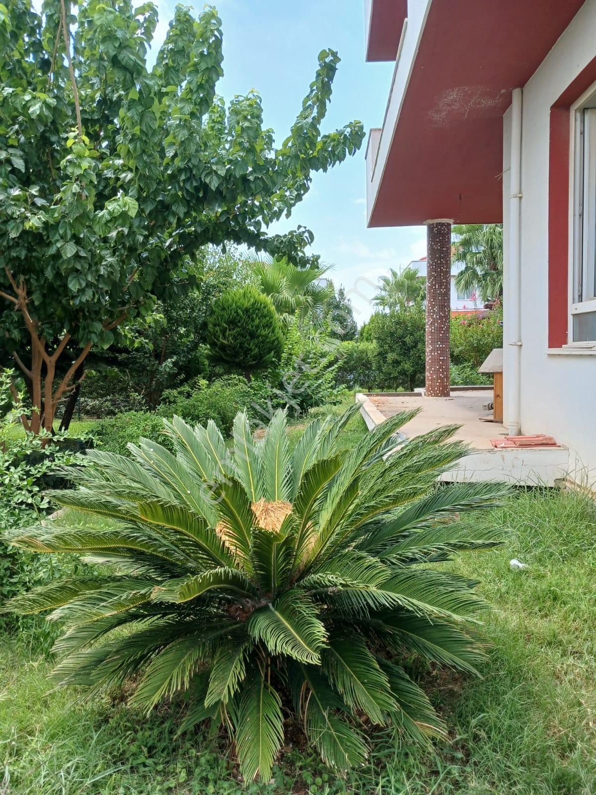 Adana Çukurova Doğakent Sitesi Satılık Havuzlu Villa - Görsel 3