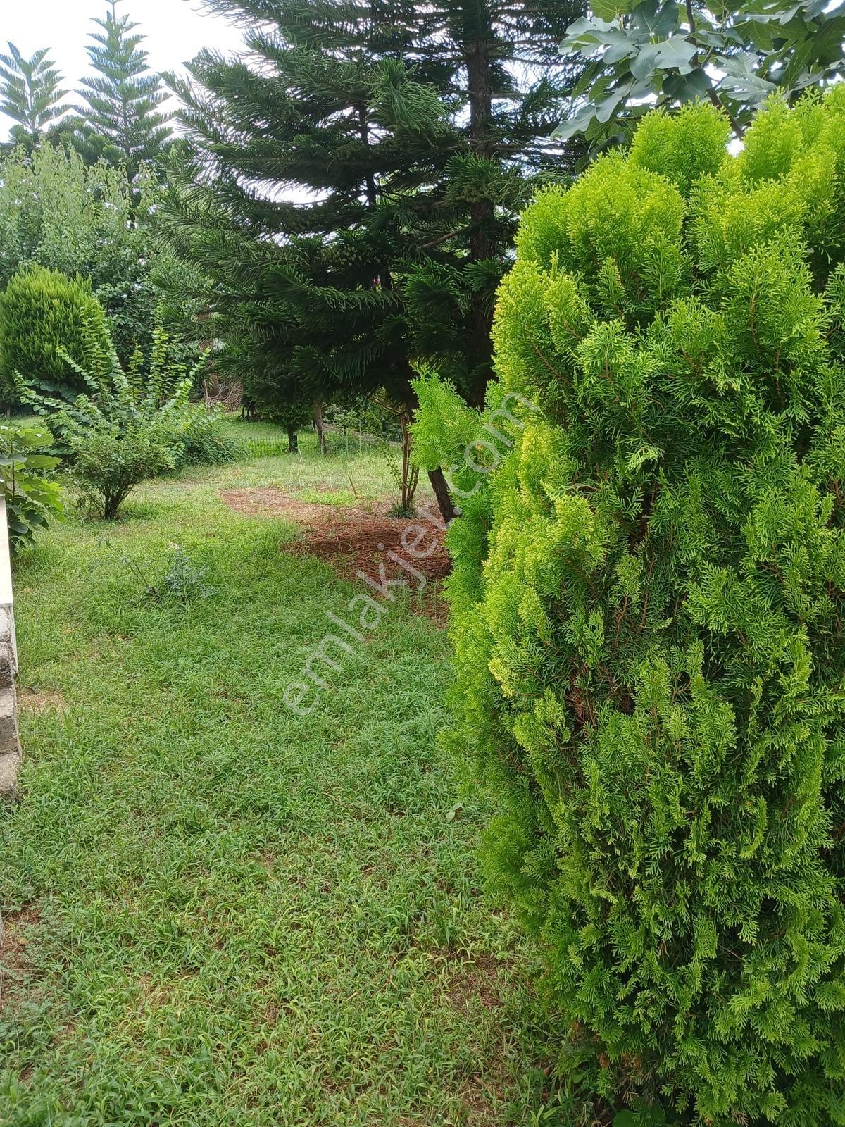 Adana Çukurova Doğakent Sitesi Satılık Havuzlu Villa - Görsel 14