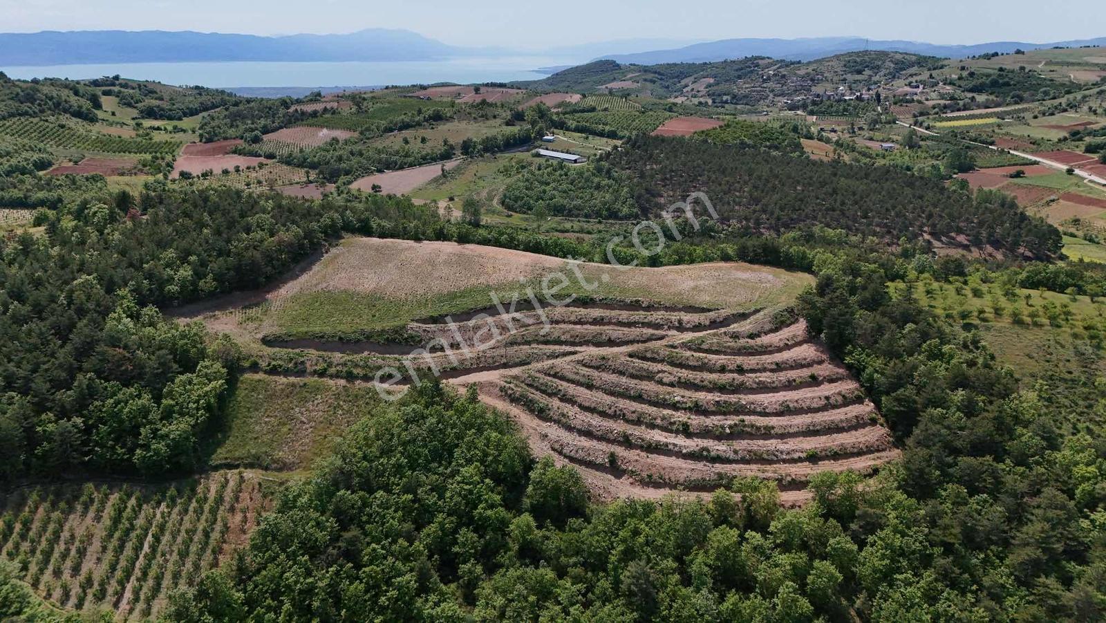 2m Yatırım'dan İznikte Tarım İçin Uygun Arsa - Görsel 6
