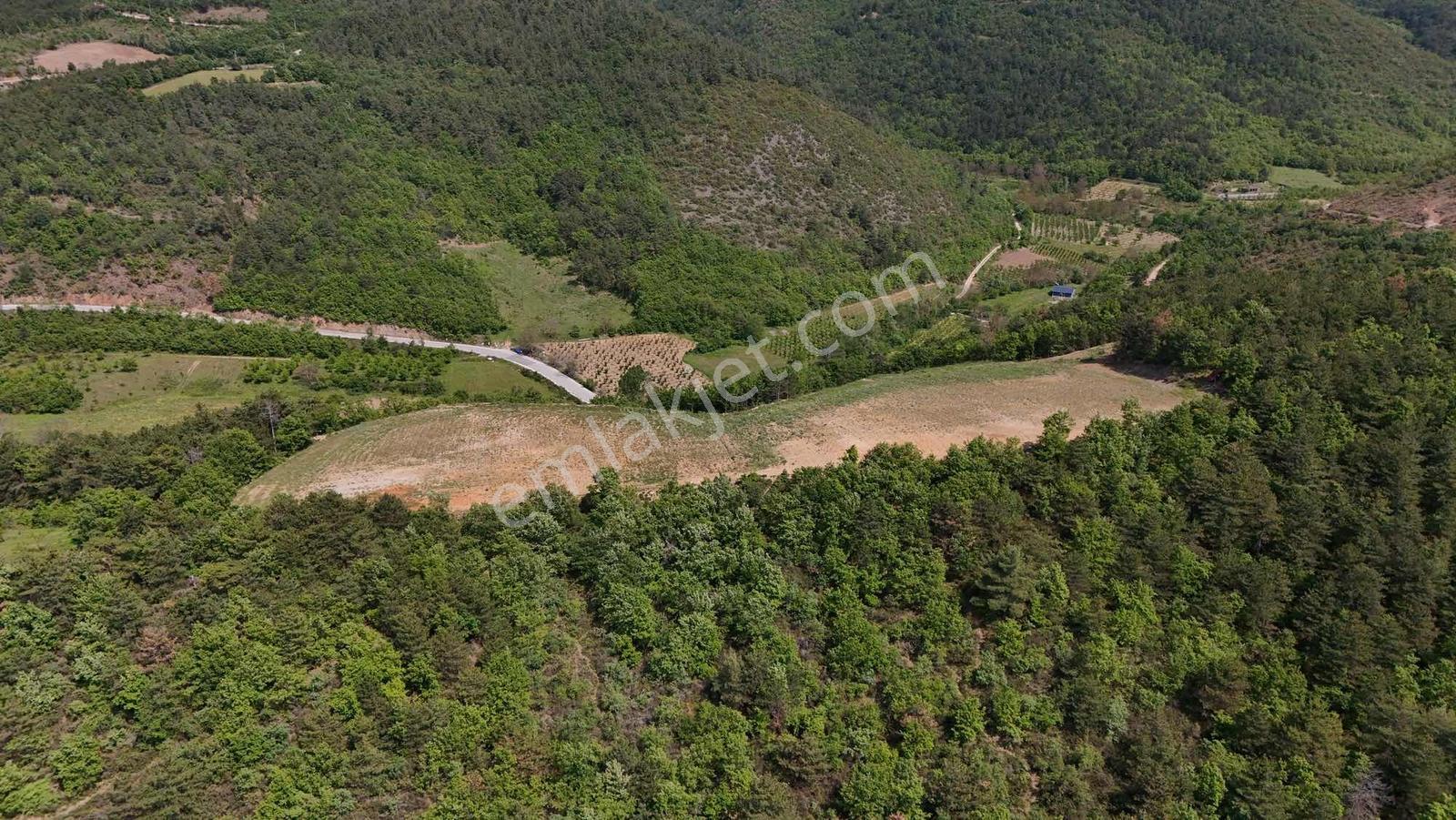 2m Yatırım'dan İznikte Tarım İçin Uygun Arsa - Görsel 3