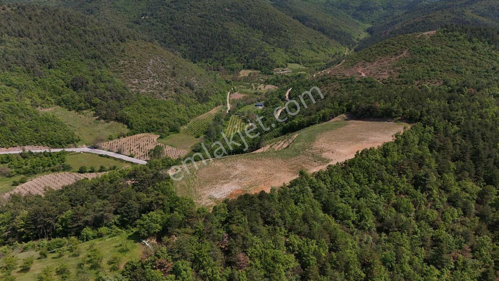 2m Yatırım'dan İznikte Tarım İçin Uygun Arsa - Görsel 17