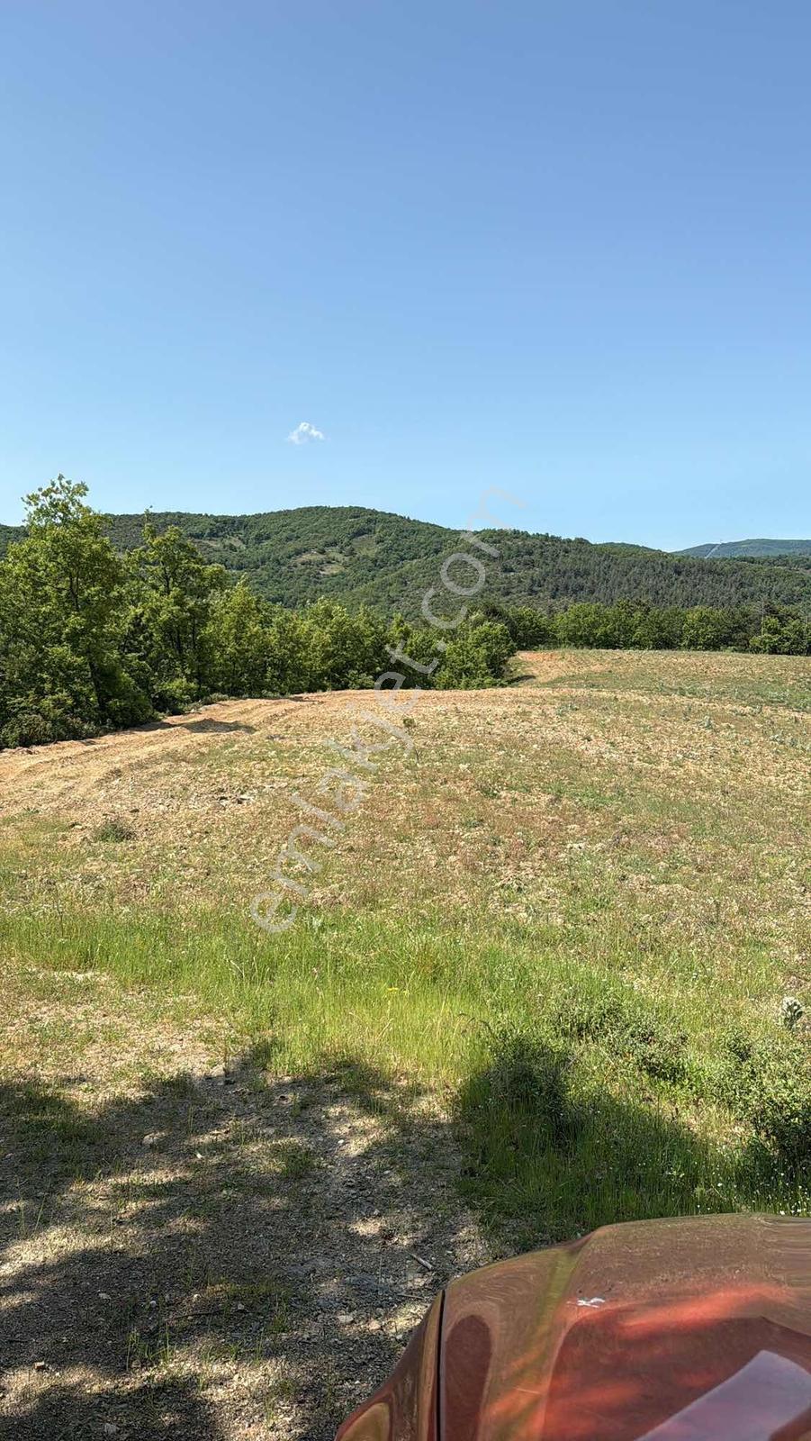 2m Yatırım'dan İznikte Tarım İçin Uygun Arsa - Görsel 21