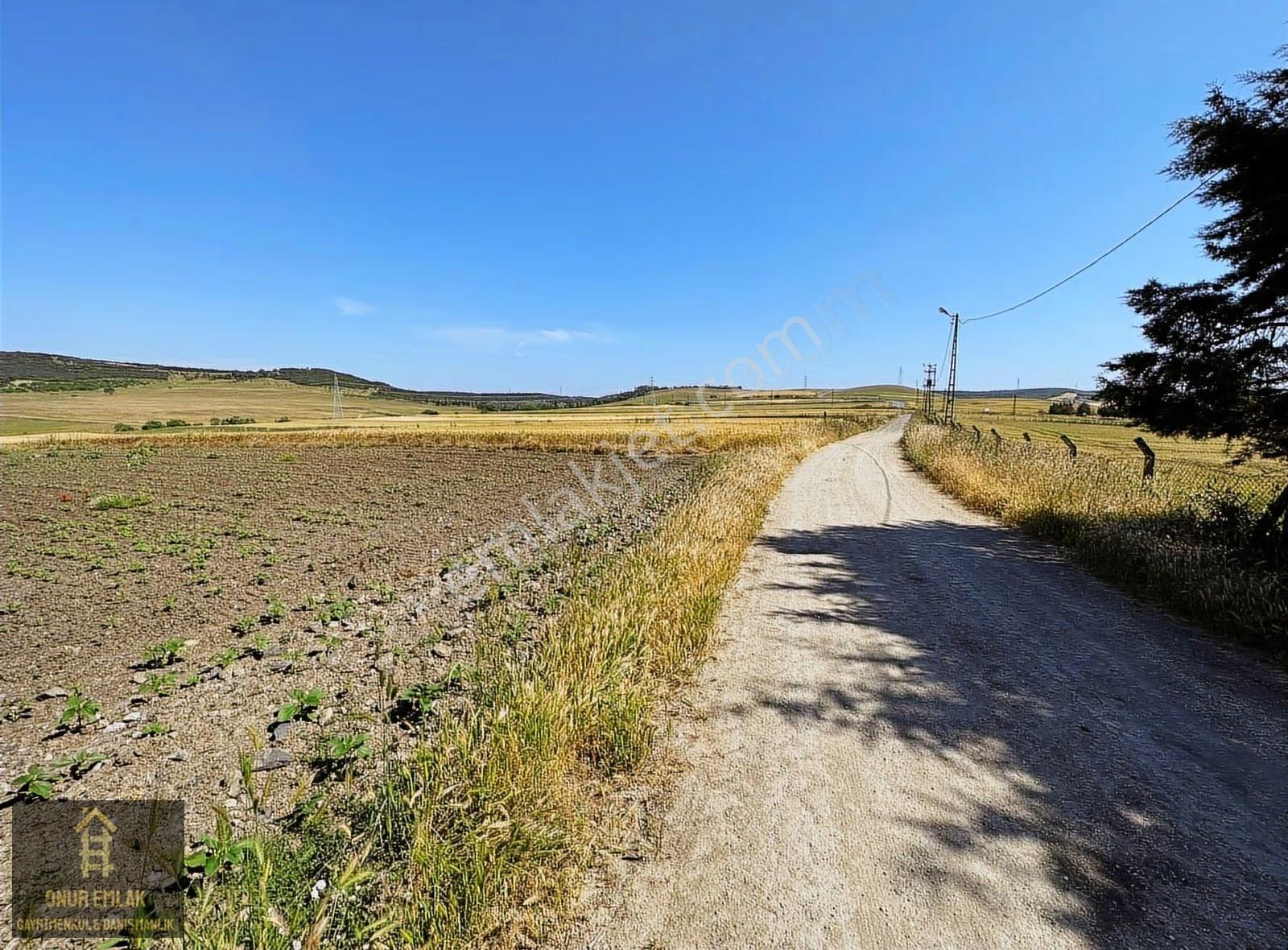 Silivri Seymen'de Yola Cephe Satılık 22 Dönüm Elk-doğalgaz-su - Görsel 2