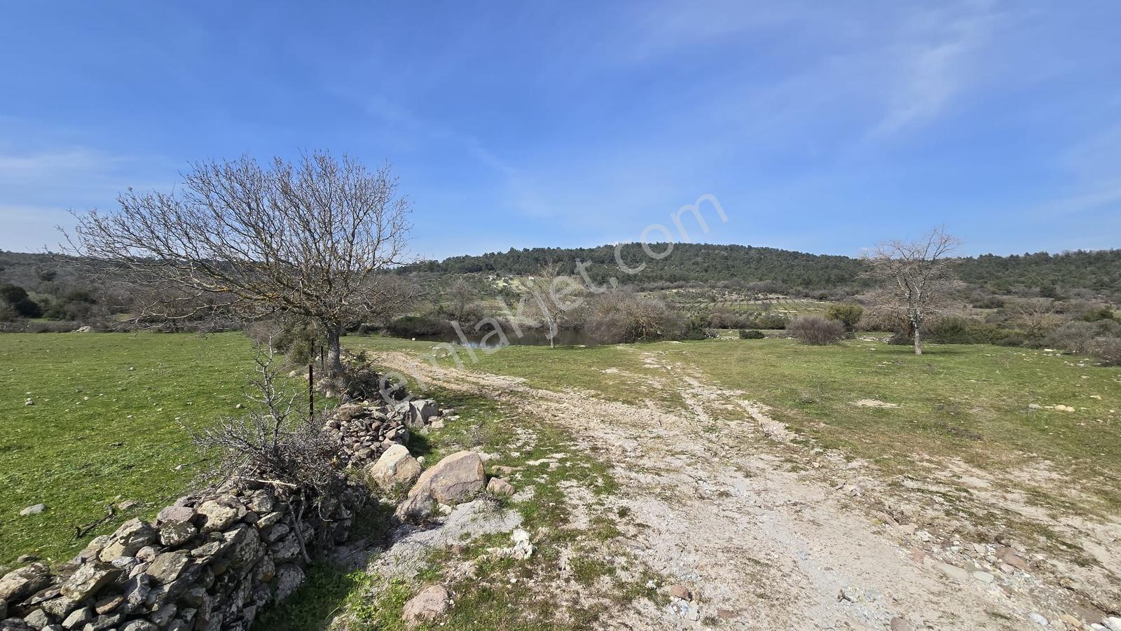 Bergama Maruflar'da Gölet Yakını Satılık Tarla - Görsel 18