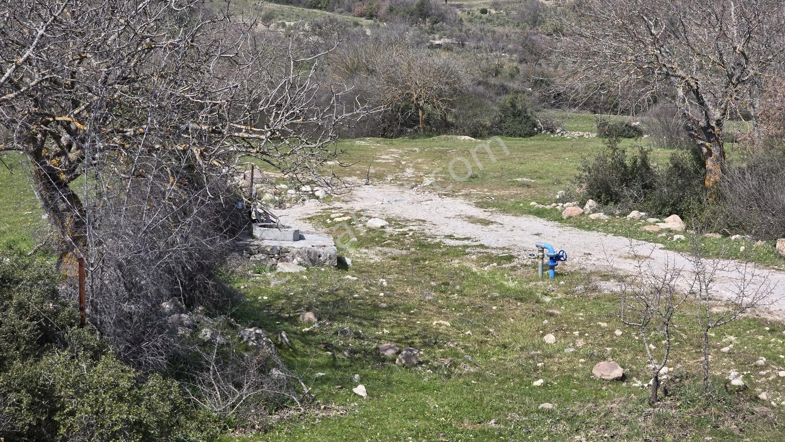 Bergama Maruflar'da Gölet Yakını Satılık Tarla - Görsel 17