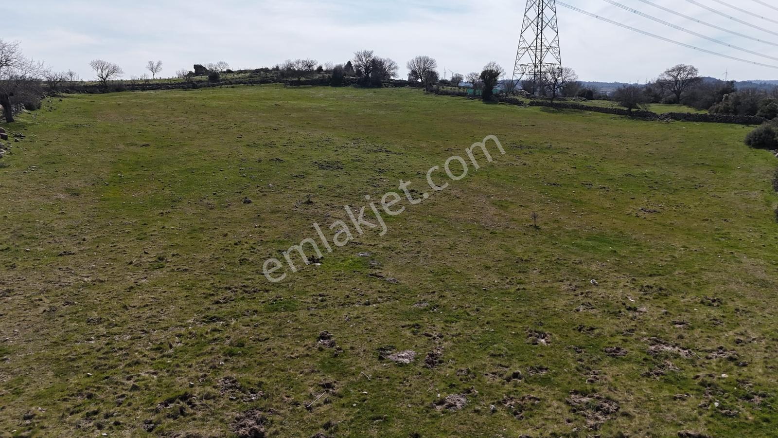 Bergama Maruflar'da Gölet Yakını Satılık Tarla - Görsel 8