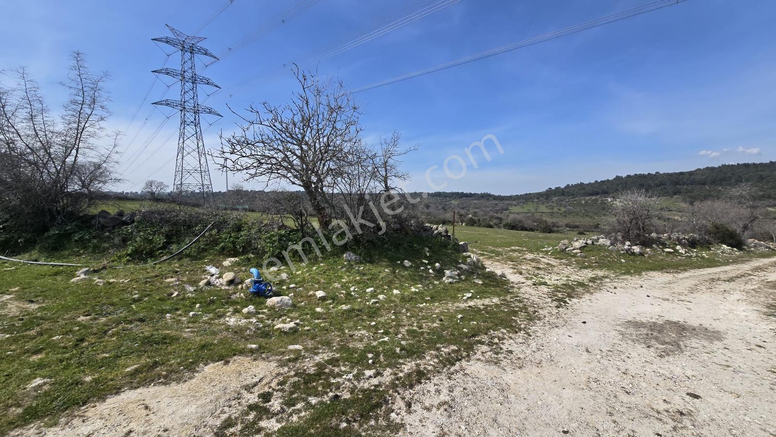 Bergama Maruflar'da Gölet Yakını Satılık Tarla - Görsel 21