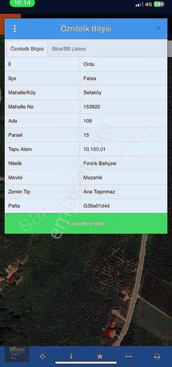 Ordu-fatsa Sefa Köy. Fırın Market Karşısı 10 Dönüm Kiralık Arsa - Görsel 7