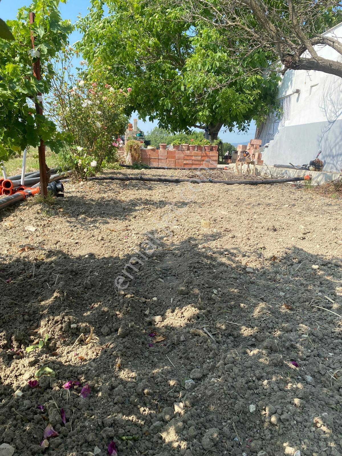 Manisa Kırkağaç Tevfikiye Mah.sinin En Verimli Arazisi Satışta - Görsel 10
