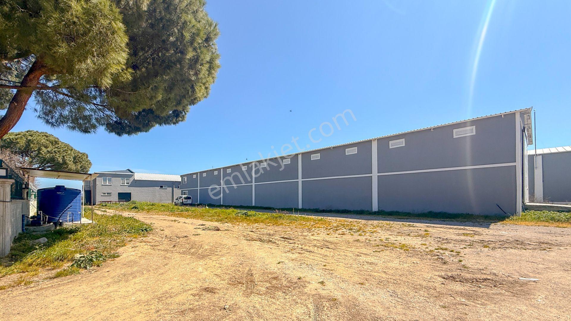 Burhaniye-edremit Yolunda, Toplam 7000 M² Alanlı Kiralık Depolar - Görsel 18