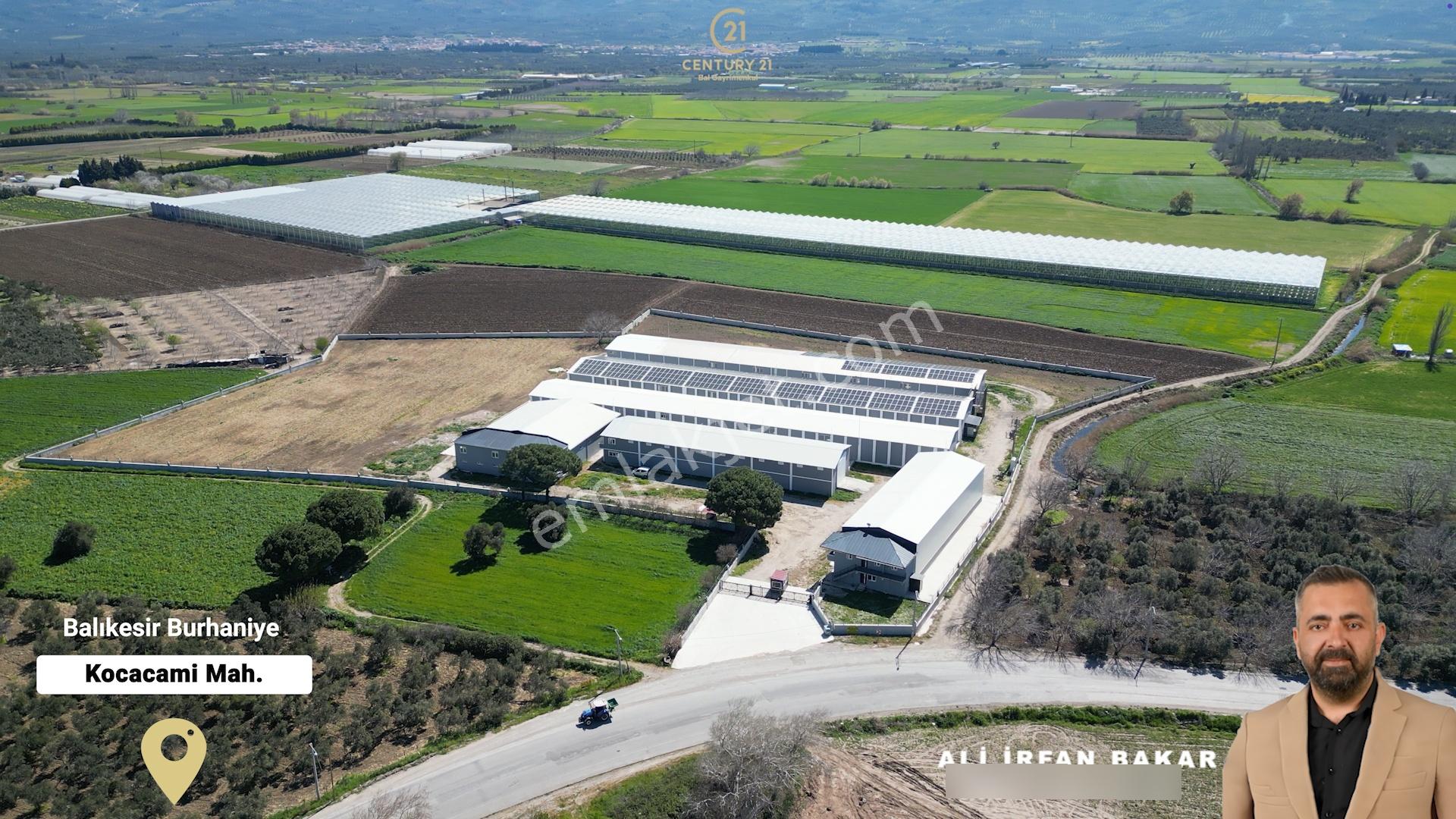 Burhaniye-edremit Yolunda, Toplam 7000 M² Alanlı Kiralık Depolar - Görsel 32