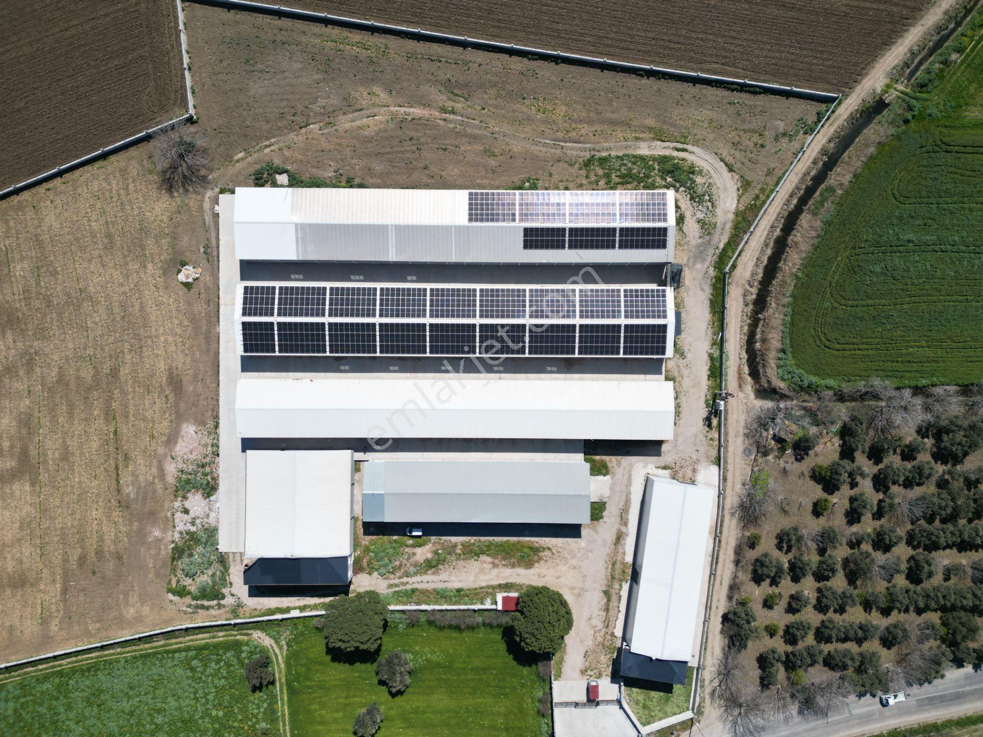 Burhaniye-edremit Yolunda, Toplam 7000 M² Alanlı Kiralık Depolar - Görsel 5