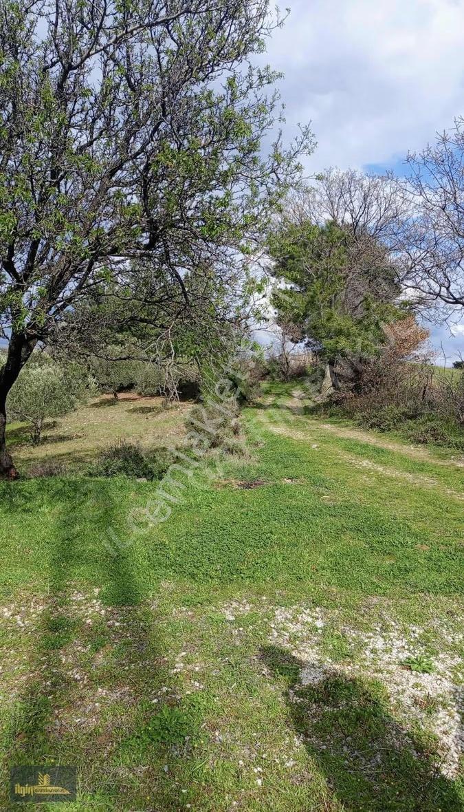 Çanakkale Aşağıokçular Köyünde Satılık Arazi 33.600 M2 - Görsel 8
