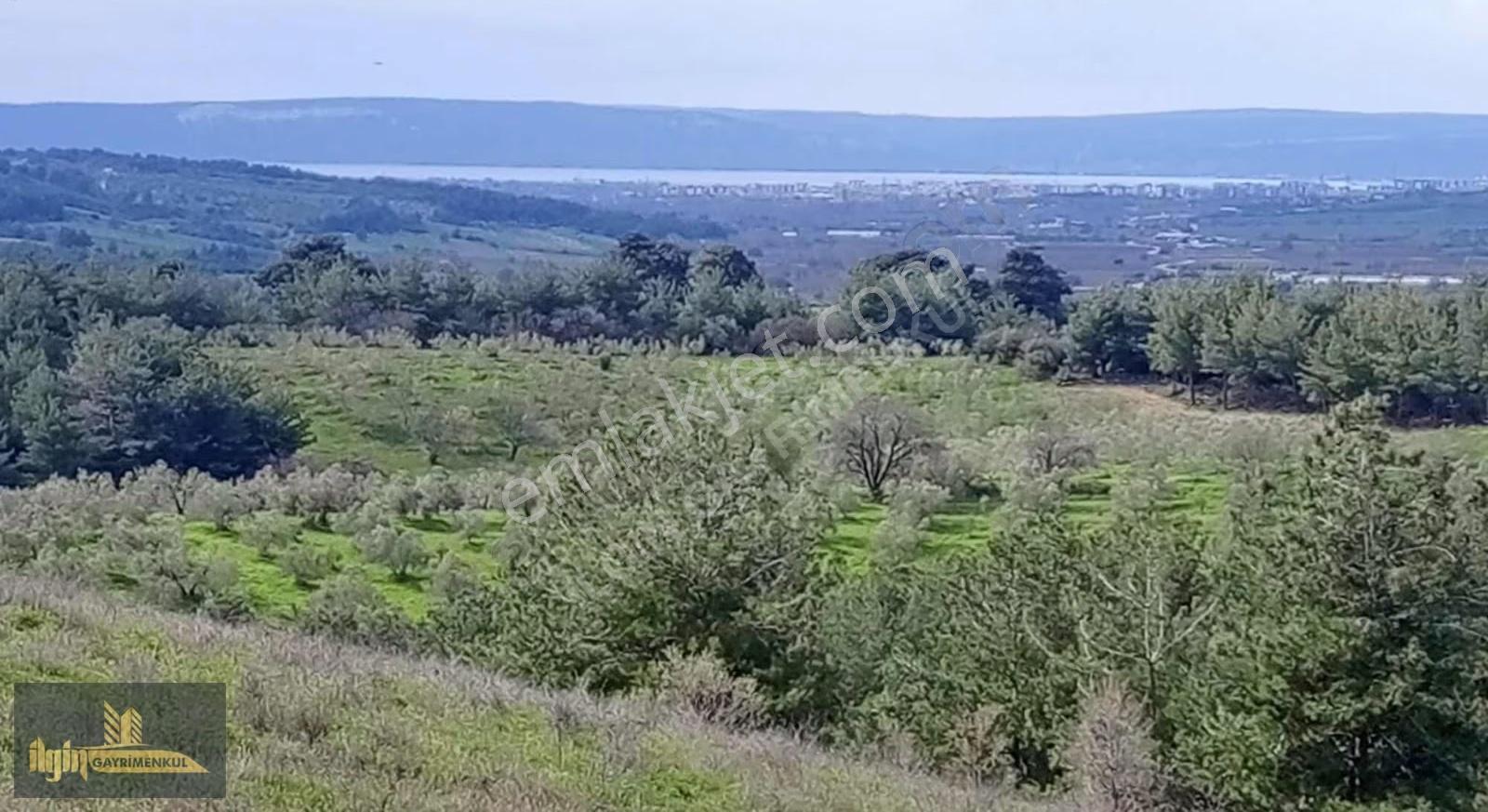 Çanakkale Aşağıokçular Köyünde Satılık Arazi 33.600 M2 - Görsel 4