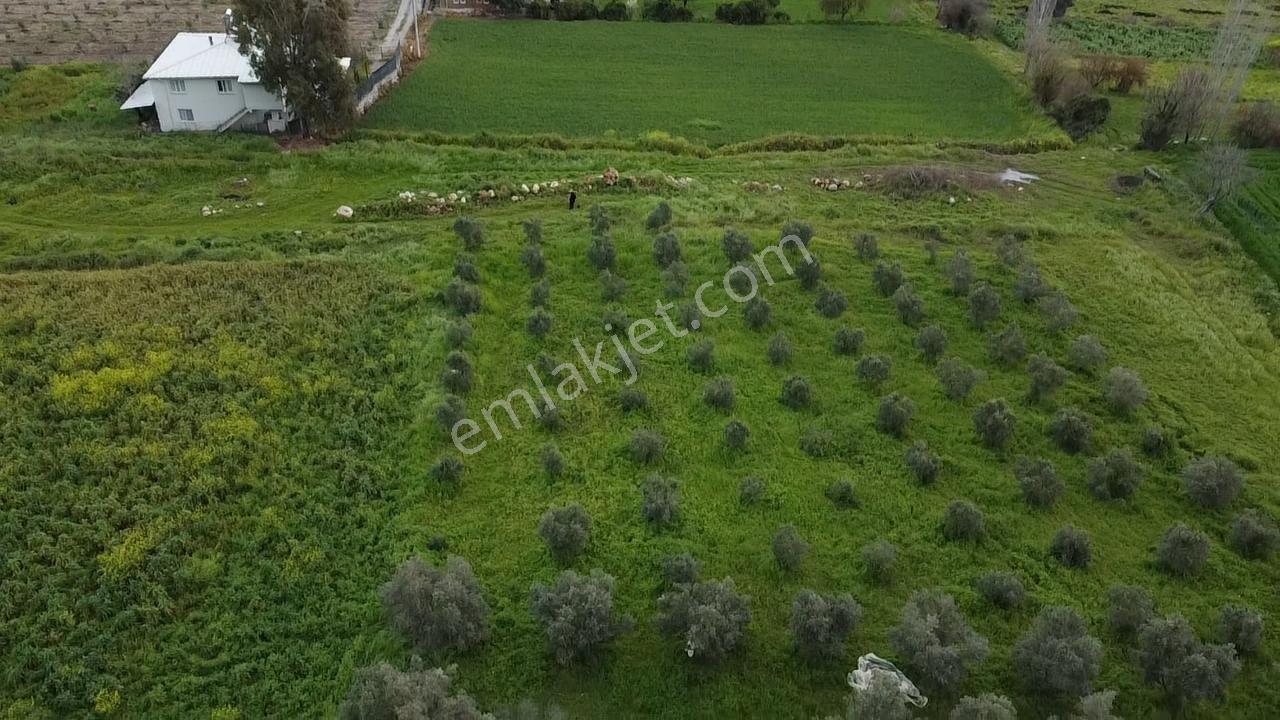 Seydikemer Ortaköy'de 3 Dönüm -villa Yapımına Uygun Kupon Arazi - Görsel 33