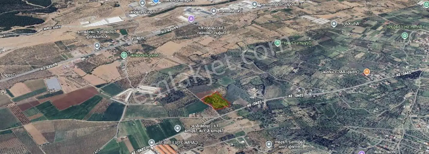 Torbalı Çapak Mahallesinde Satılık Zeytinlik - Görsel 2