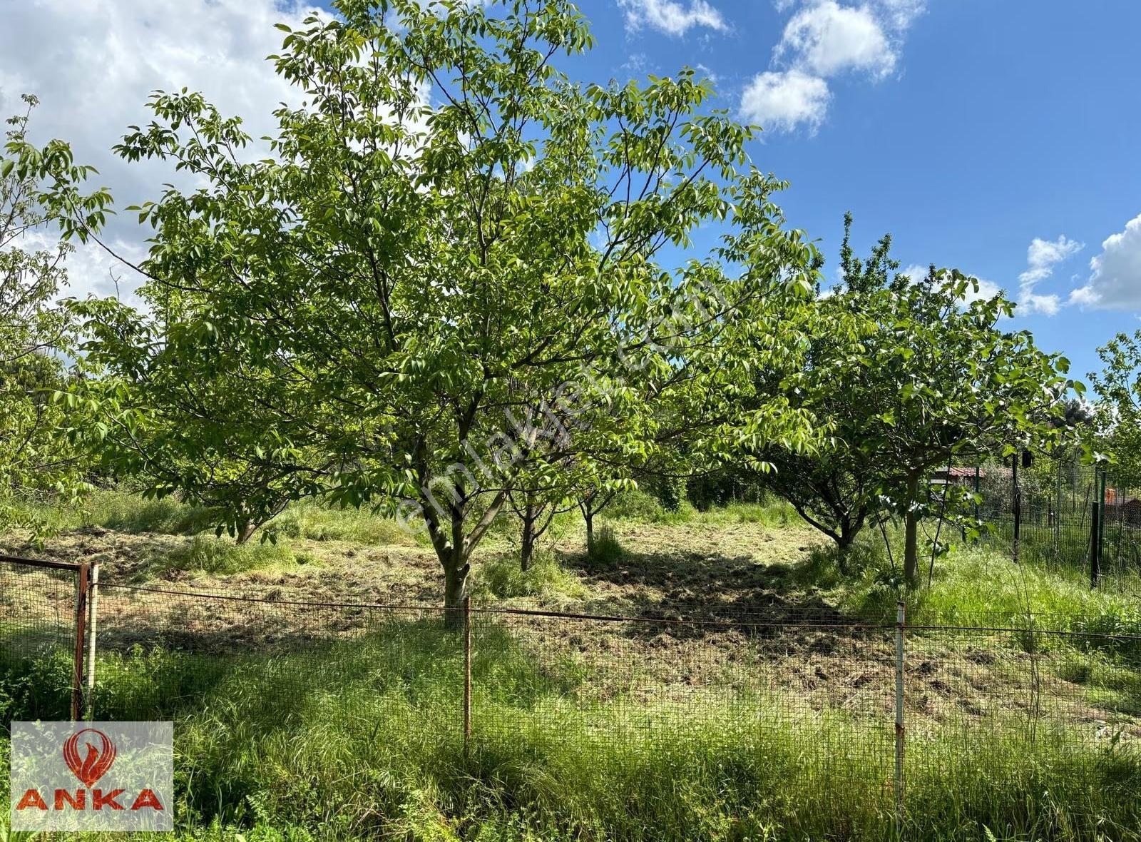 Demirci'de Satılık 6+1 Lüks Villa, 550 M² Arsa, 4 Kat - Görsel 17