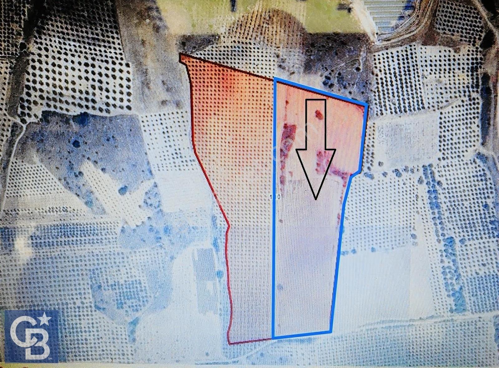 Ahmetli Cambazlı Mah. (31850 M2) Satılık Tarla!