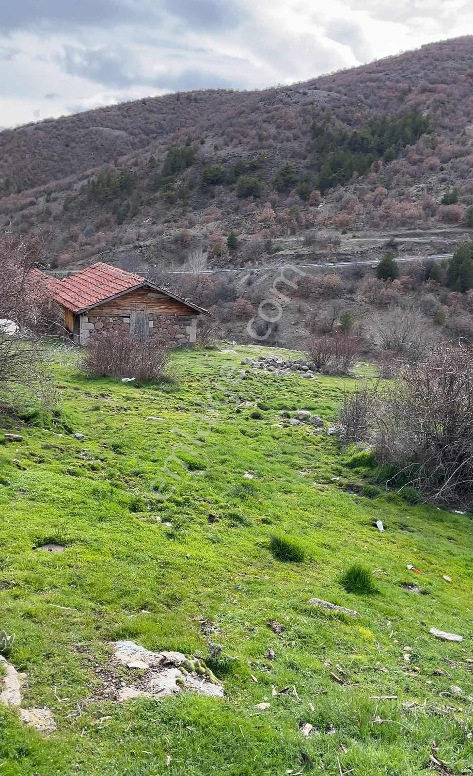 Çamlıdere'de Tadilata Uygun Muhteşem Manzaralı Doğa İçerisinde - Görsel 13