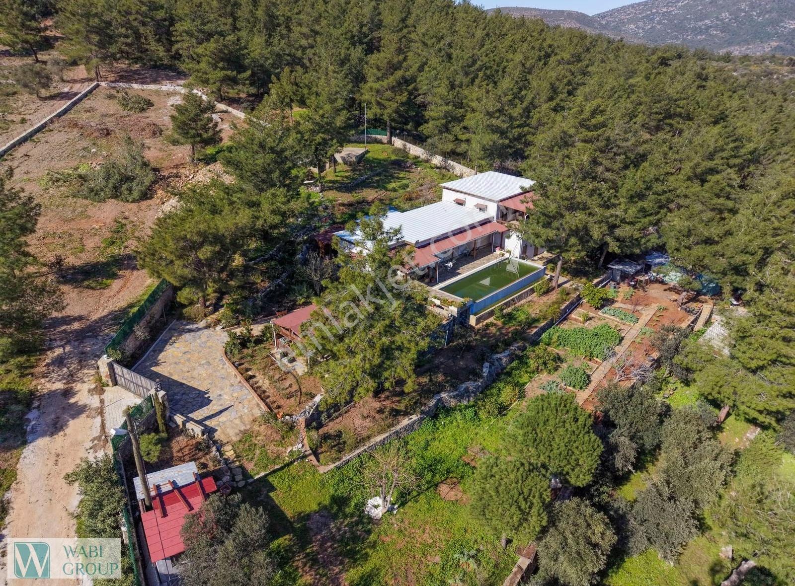 Bodrum Yalıçiftlikte 9.430 Dönüm Arazi Özel Malikane & Çiftlik - Görsel 3